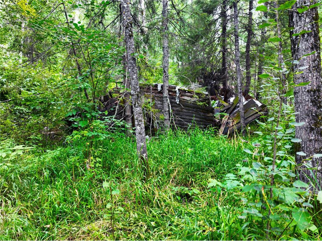 9128 Peary Junction Road Kelsey Twp MN 55724 6778765 image12