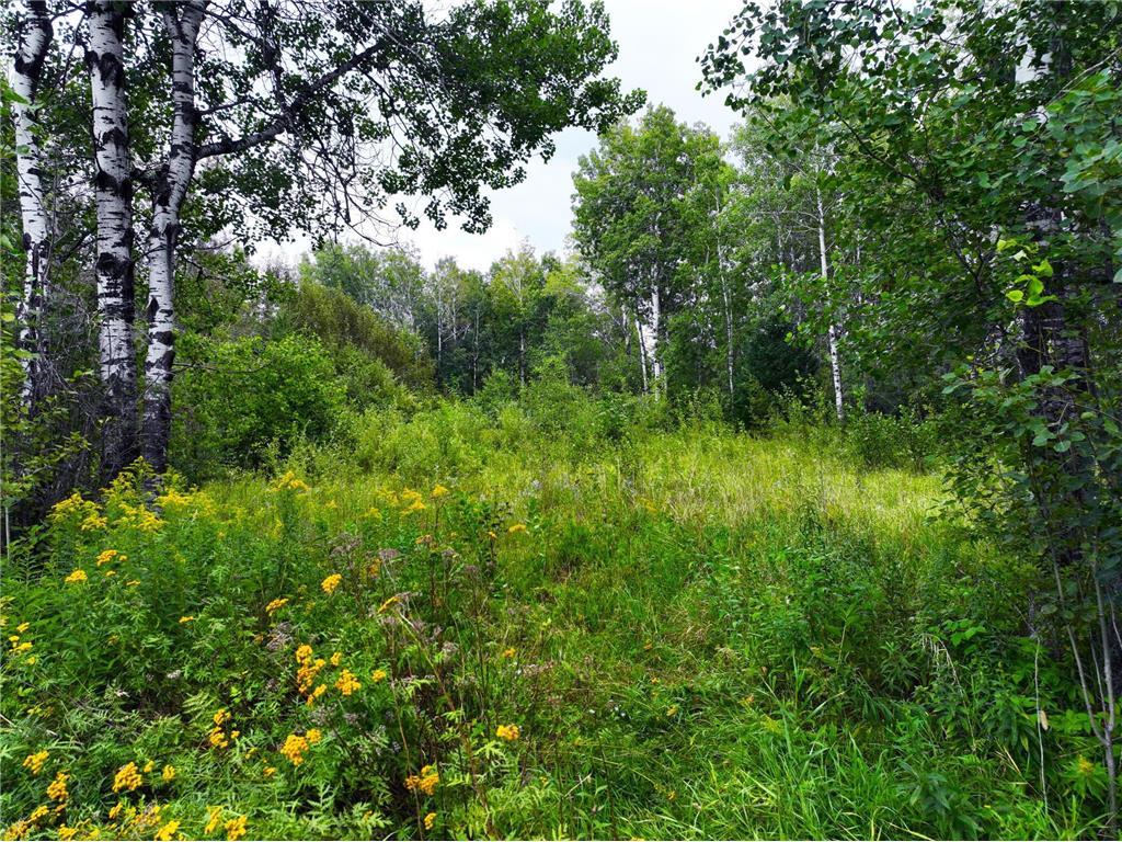 9128 Peary Junction Road Kelsey Twp MN 55724 6778765 image13