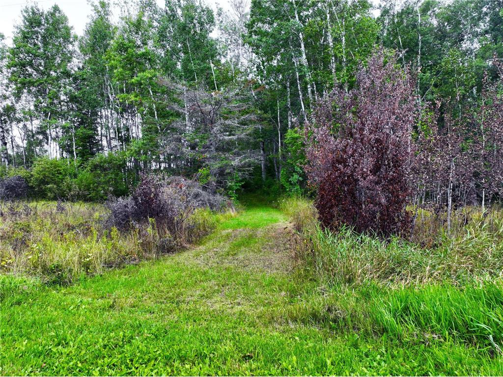 9128 Peary Junction Road Kelsey Twp MN 55724 6778765 image14