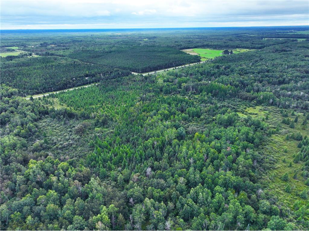 9128 Peary Junction Road Kelsey Twp MN 55724 6778765 image7