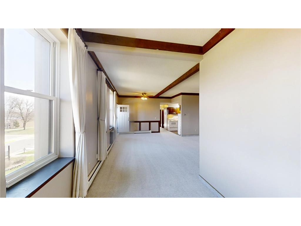 913 Abbott Street #203 Albert Lea MN 56007 - Fountain 6707472 image13