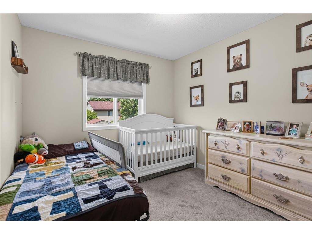 913 Moline Loop NW Isanti MN 55040 7112033 image10