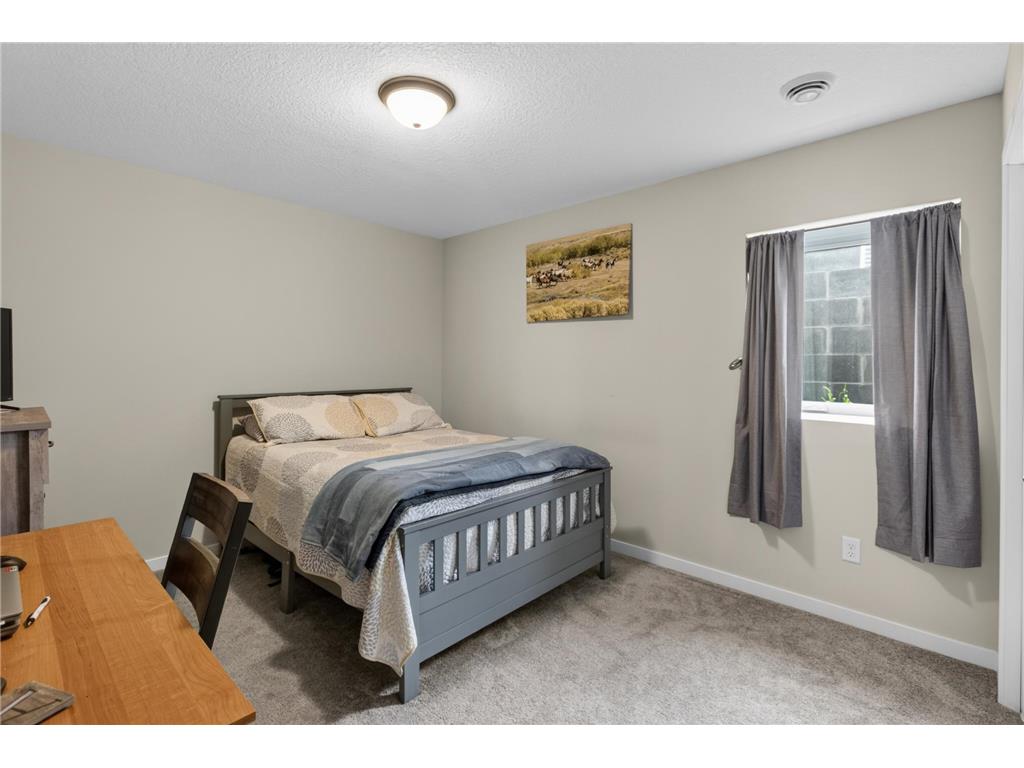 913 Moline Loop NW Isanti MN 55040 7112033 image19