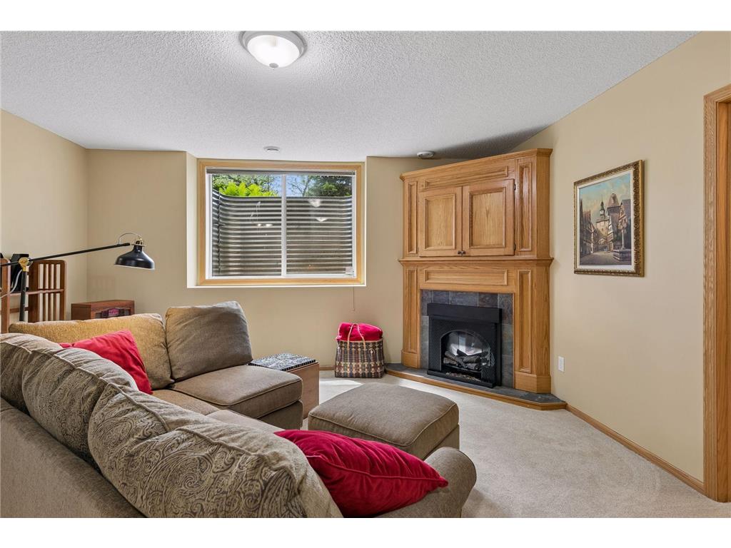 913 Oakwood Heights Circle Eagan MN 55123 7078992 image21