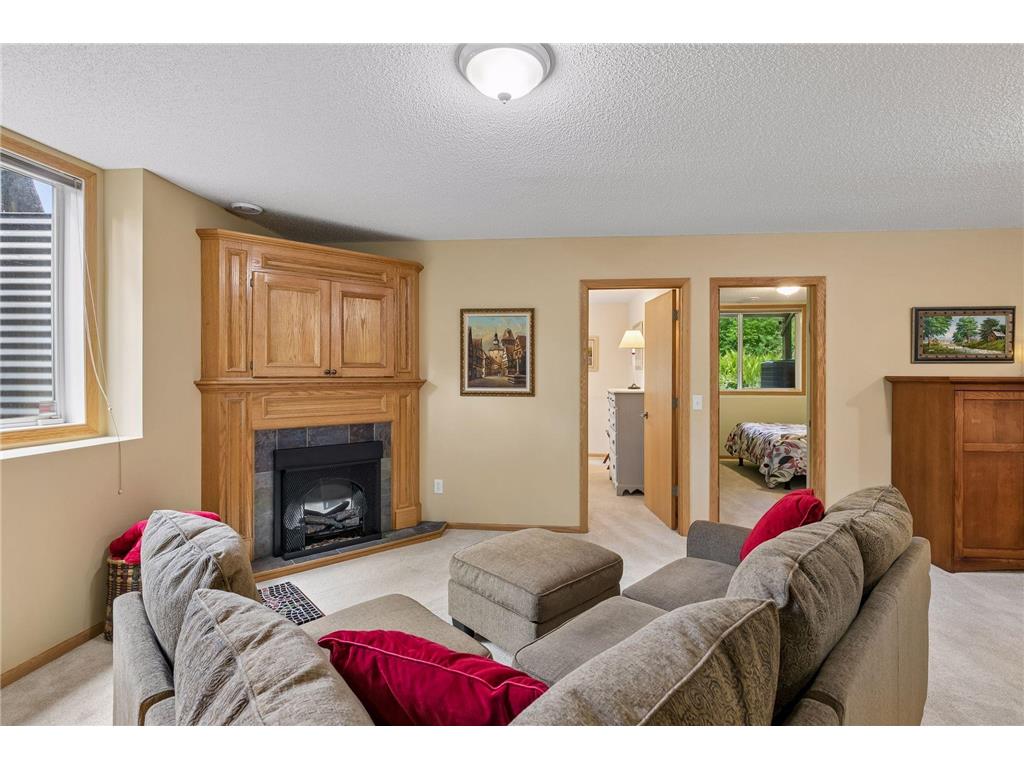 913 Oakwood Heights Circle Eagan MN 55123 7078992 image22