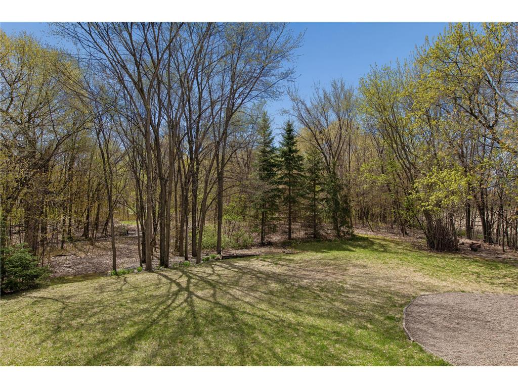 914 Quail Pass Buffalo MN 55313 7062447 image33
