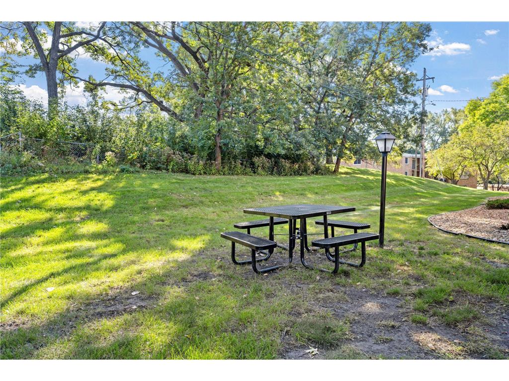 9141 Highway 55 #101 Golden Valley MN 55427 7038563 image27