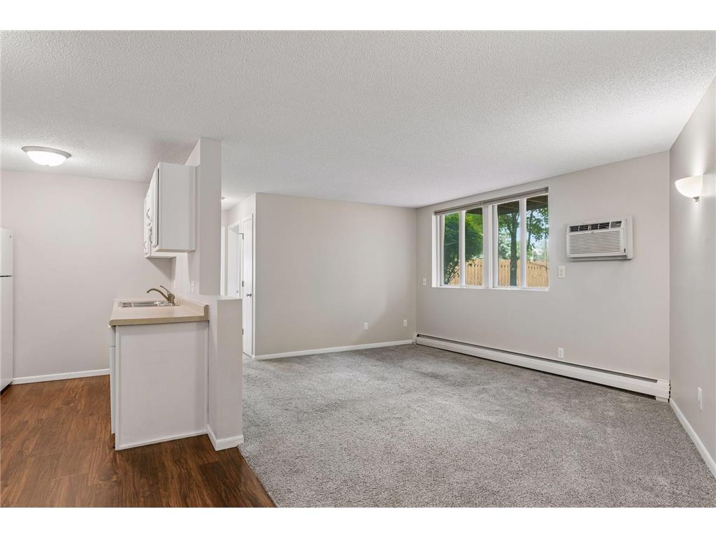 9141 Highway 55 #106 Golden Valley MN 55427 7080563 image4