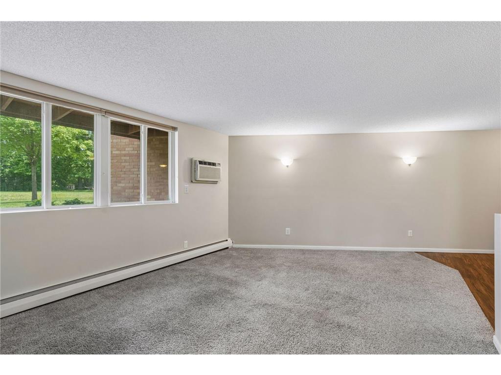 9141 Highway 55 #106 Golden Valley MN 55427 7080563 image6
