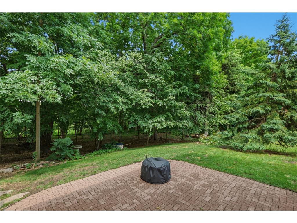 9142 Woodland Drive Saint Bonifacius MN 55375 7082417 image45