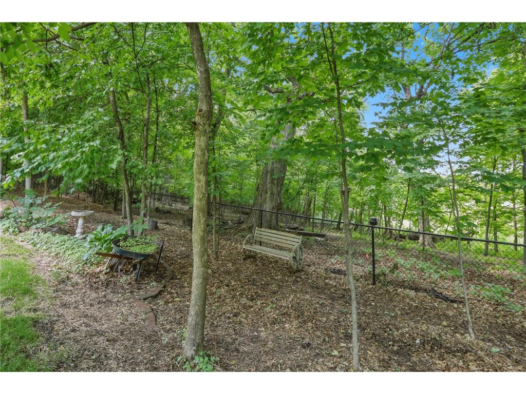 9142 Woodland Drive Saint Bonifacius MN 55375 7082417 image48