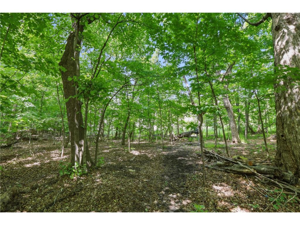 9142 Woodland Drive Saint Bonifacius MN 55375 7082417 image49