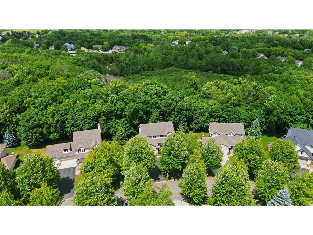 9142 Woodland Drive Saint Bonifacius MN 55375 7082417 image52