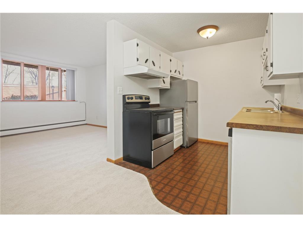 9143 Highway 55 #103 Golden Valley MN 55427 7048764 image3