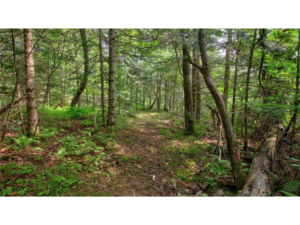 9146N Chippewa Pines Way Draper Twp WI 54896 - Chippewa River 7100666 image49