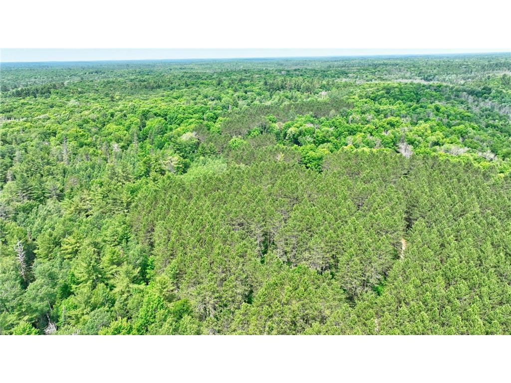 9146N Chippewa Pines Way Draper Twp WI 54896 - Chippewa River 7100666 image64
