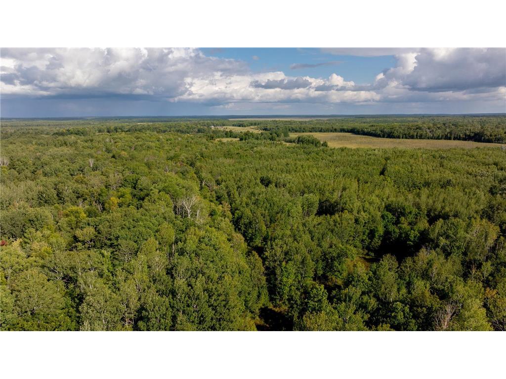 9149 Boy Lake Drive NE Remer MN 56672 6784189 image25