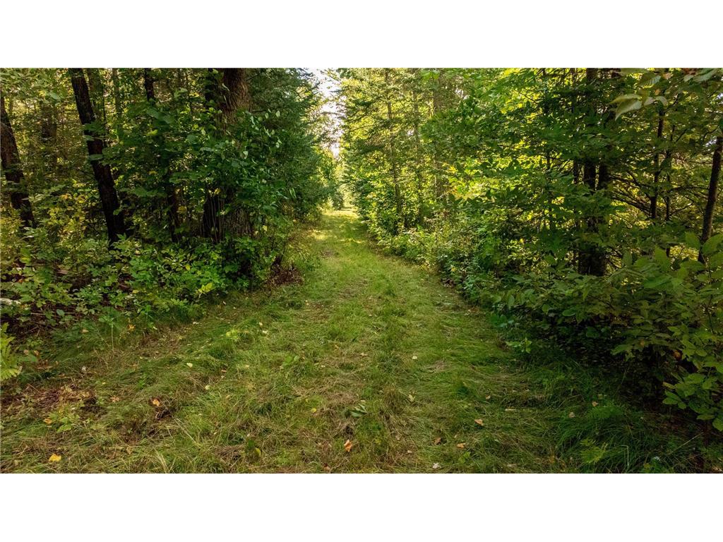 9149 Boy Lake Drive NE Remer MN 56672 6784189 image26