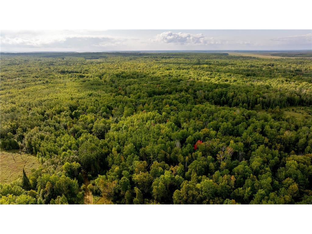 9149 Boy Lake Drive NE Remer MN 56672 6784189 image28