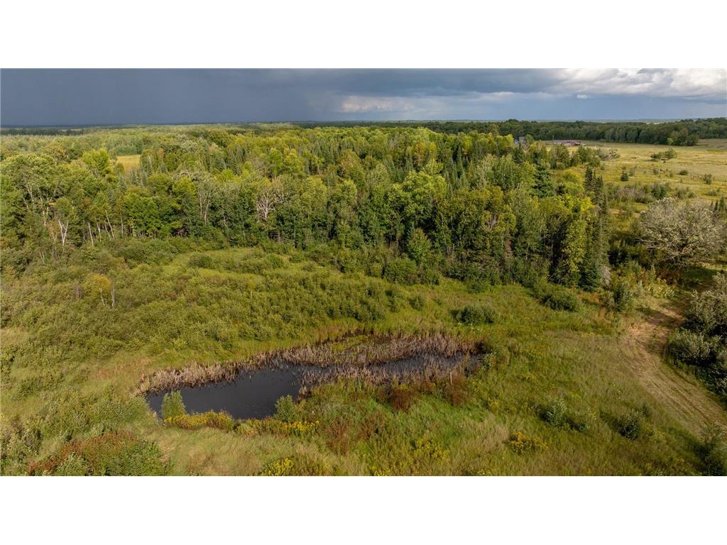 9149 Boy Lake Drive NE Remer MN 56672 6784189 image30