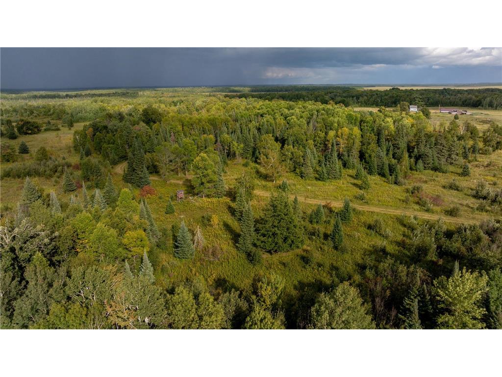 9149 Boy Lake Drive NE Remer MN 56672 6784189 image31