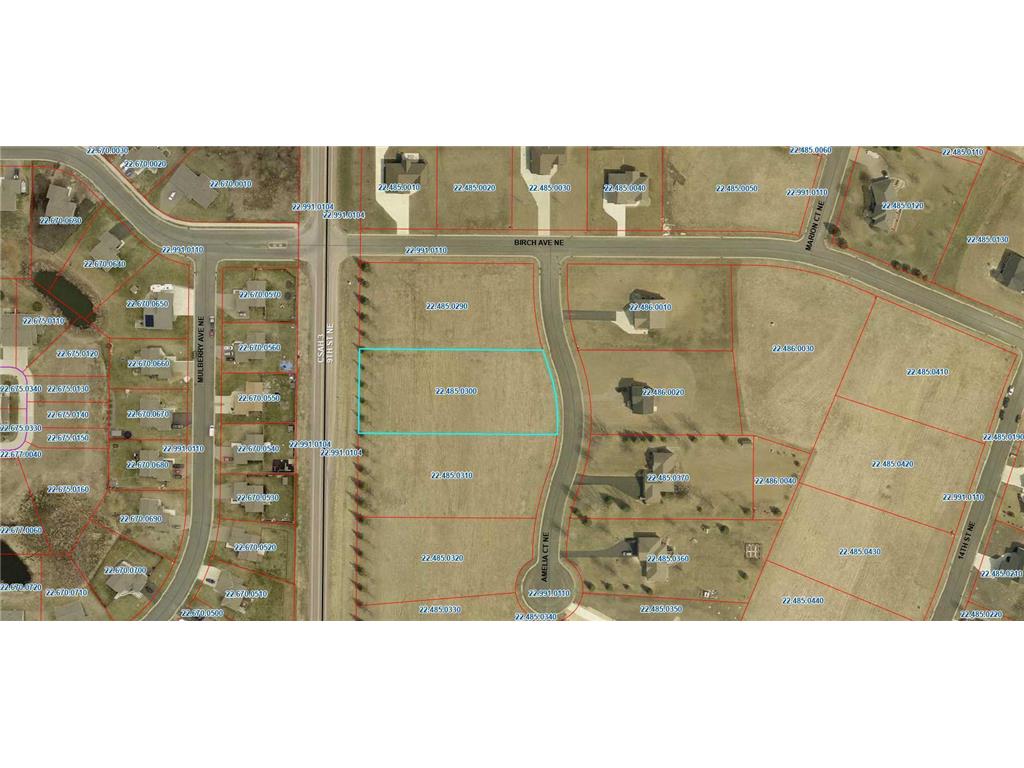 915 Amelia Court NE Montgomery MN 56069 6693020 image2