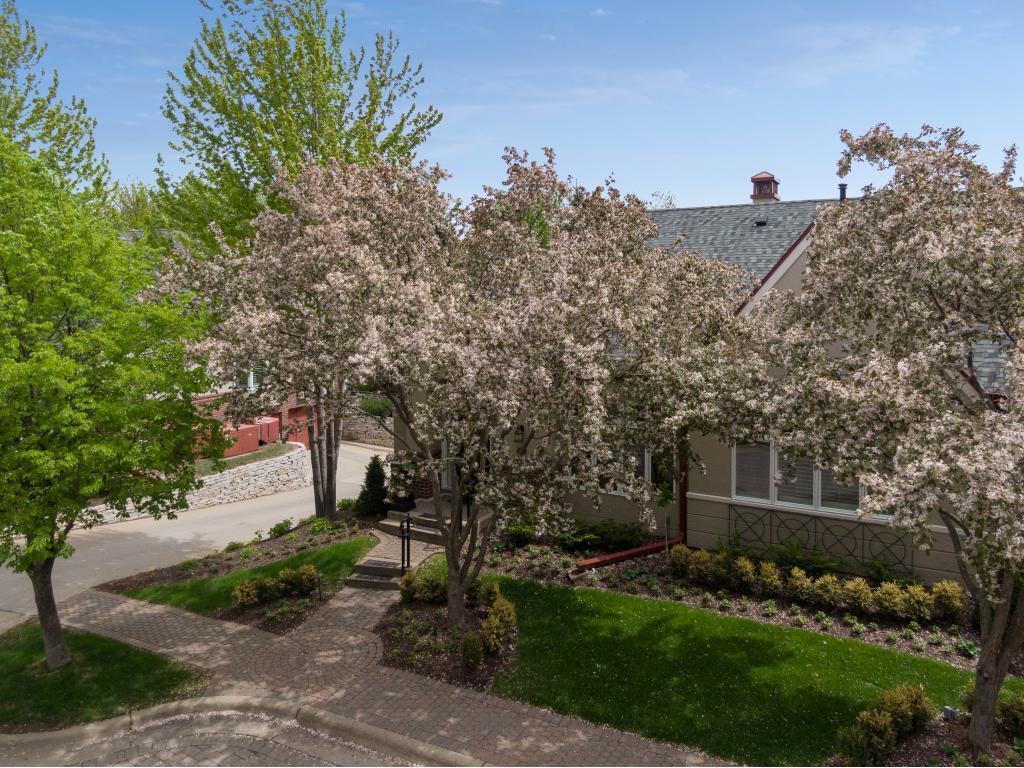 Send Flowers Edina Mn Best Flower Site