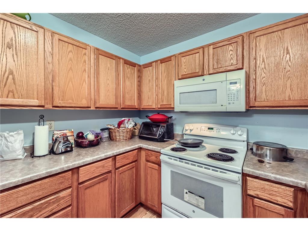 915 Harmony Path Norwood Young America MN 55397 7053036 image10