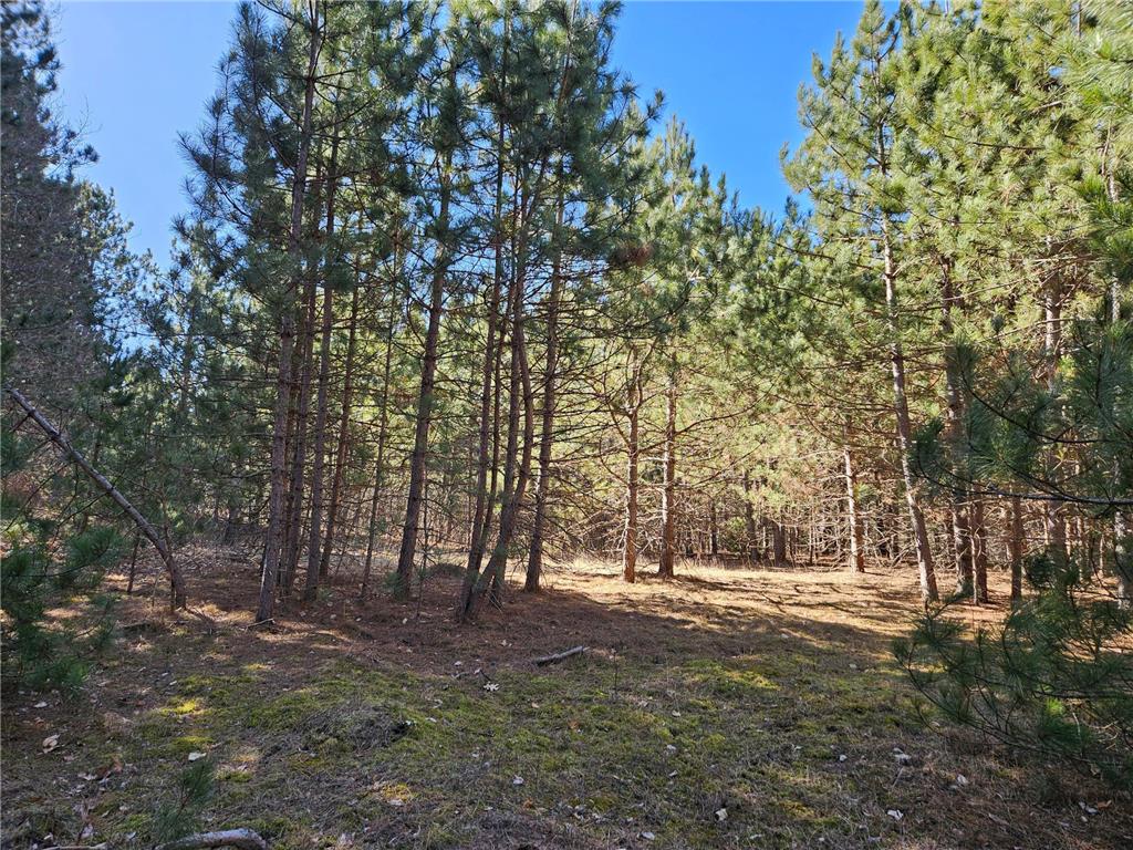 915 Scott Drive Bashaw Twp WI 54801 6497930 image1