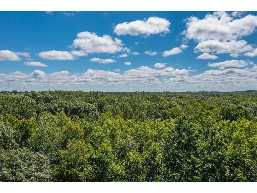 9152 Atwater Court Crow Wing Twp MN 56401 7056350 image38