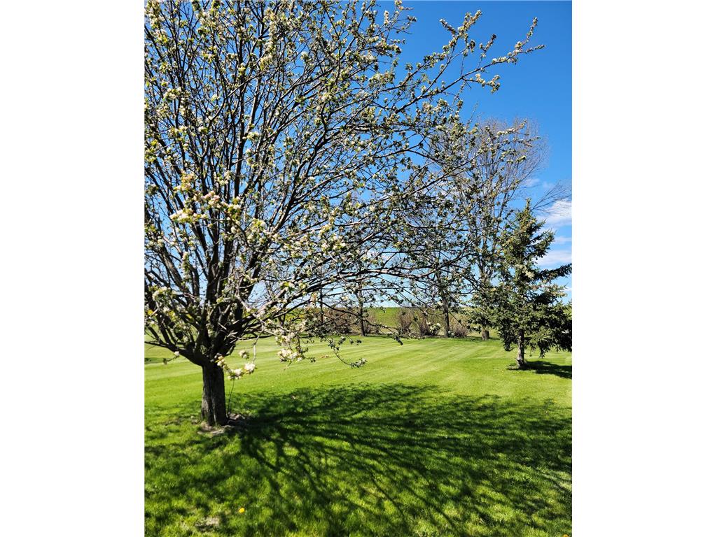 916 Mcdermott Avenue Kandiyohi MN 56251 7070255 image23