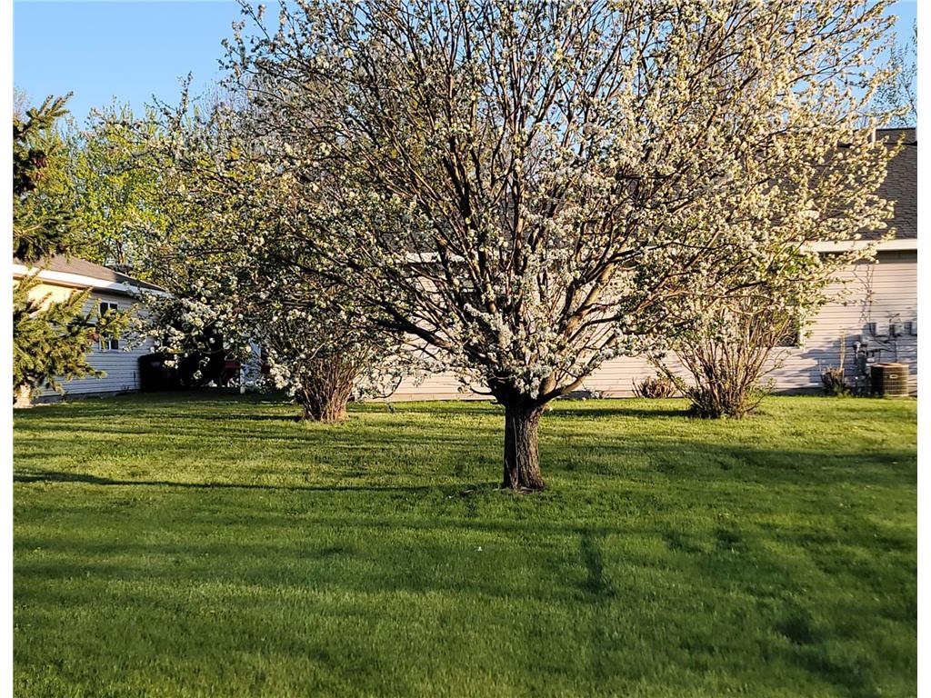 916 Mcdermott Avenue Kandiyohi MN 56251 7070255 image25