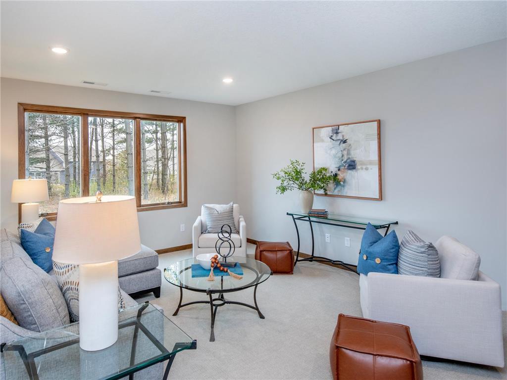 9160 62nd Street S Cottage Grove MN 55016 6692489 image28