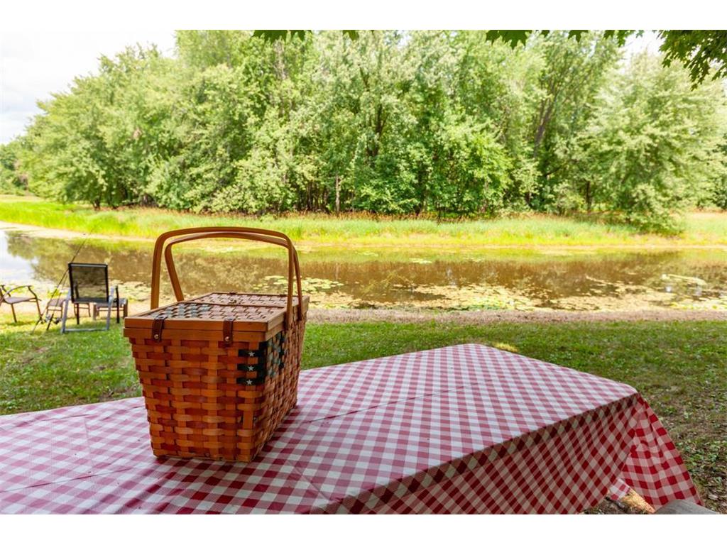 9161 Maple Shores Drive Pine City MN 55063 - Snake River 6399580 image1