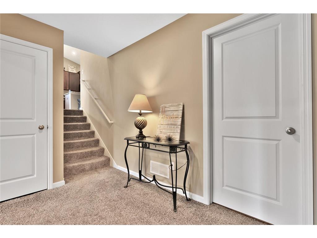 9163 67th Street S Cottage Grove MN 55016 6783114 image12