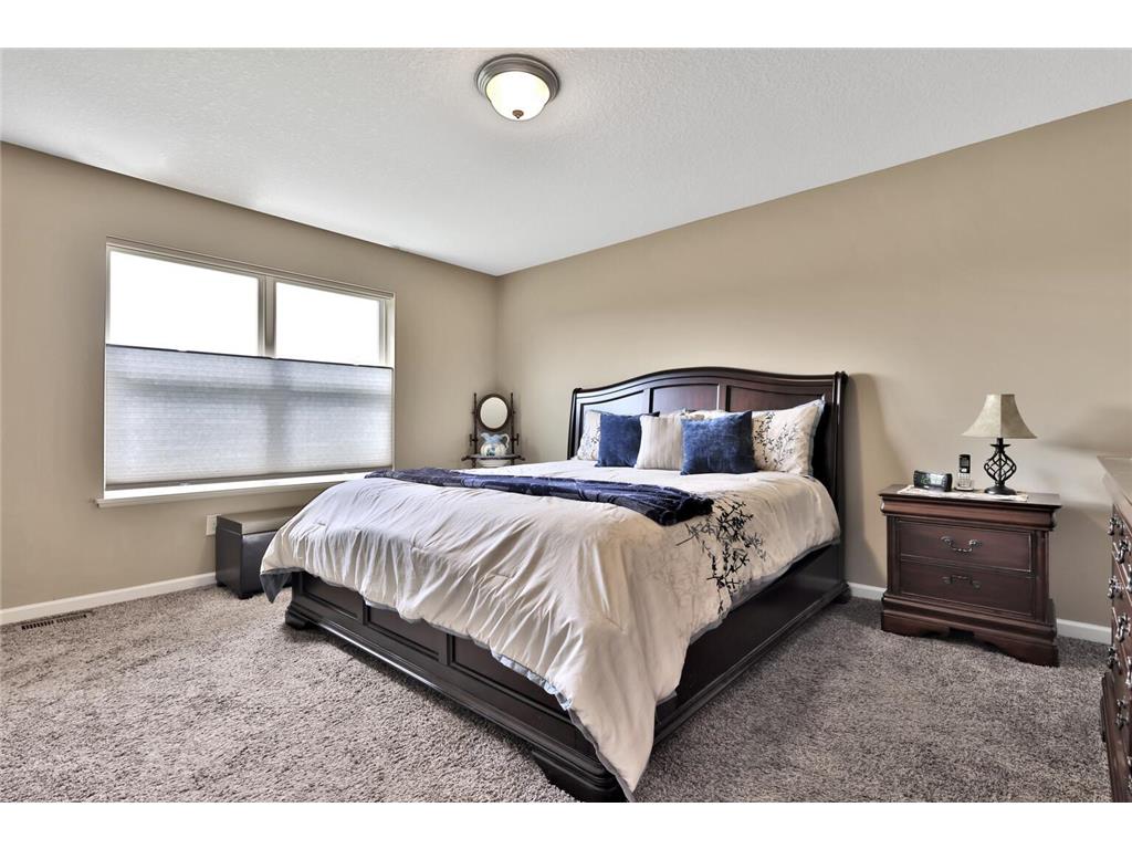 9163 67th Street S Cottage Grove MN 55016 6783114 image13