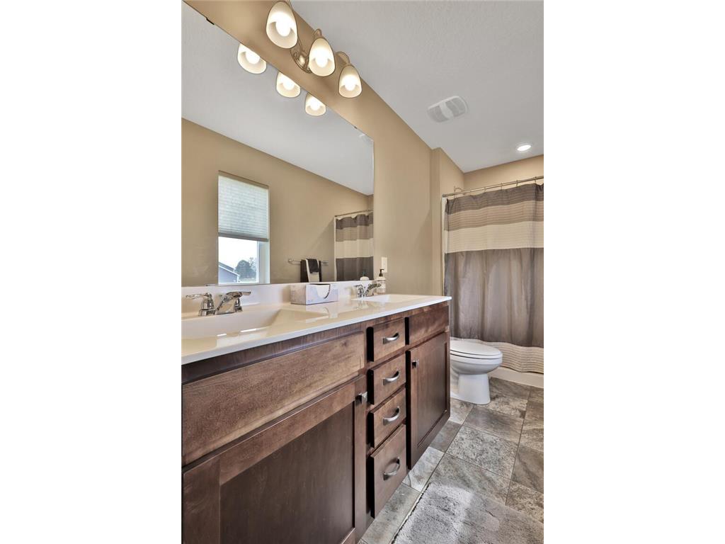 9163 67th Street S Cottage Grove MN 55016 6783114 image17