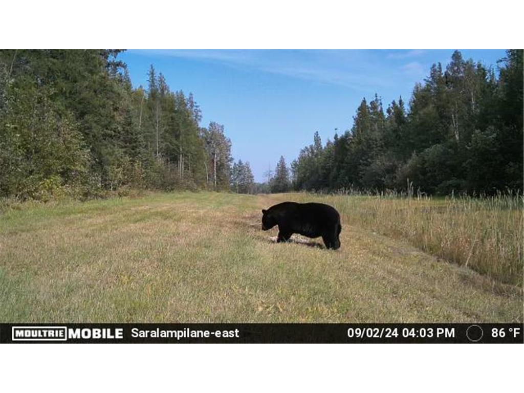 9166 Saralampi Road Toivola MN 55765 7021762 image18