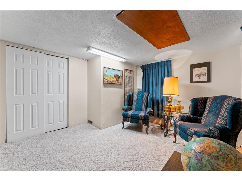 917 Chester Avenue SE Rochester MN 55904 7056273 image16