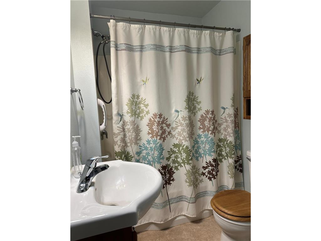 917 N Mckenzie Street Luverne MN 56156 6810448 image13