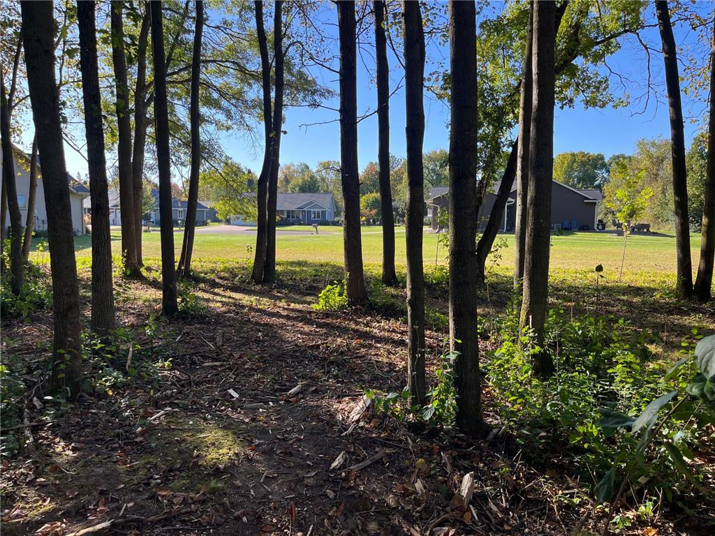 917 Scharbillig Court Rice Lake WI 54868 7055674 image1