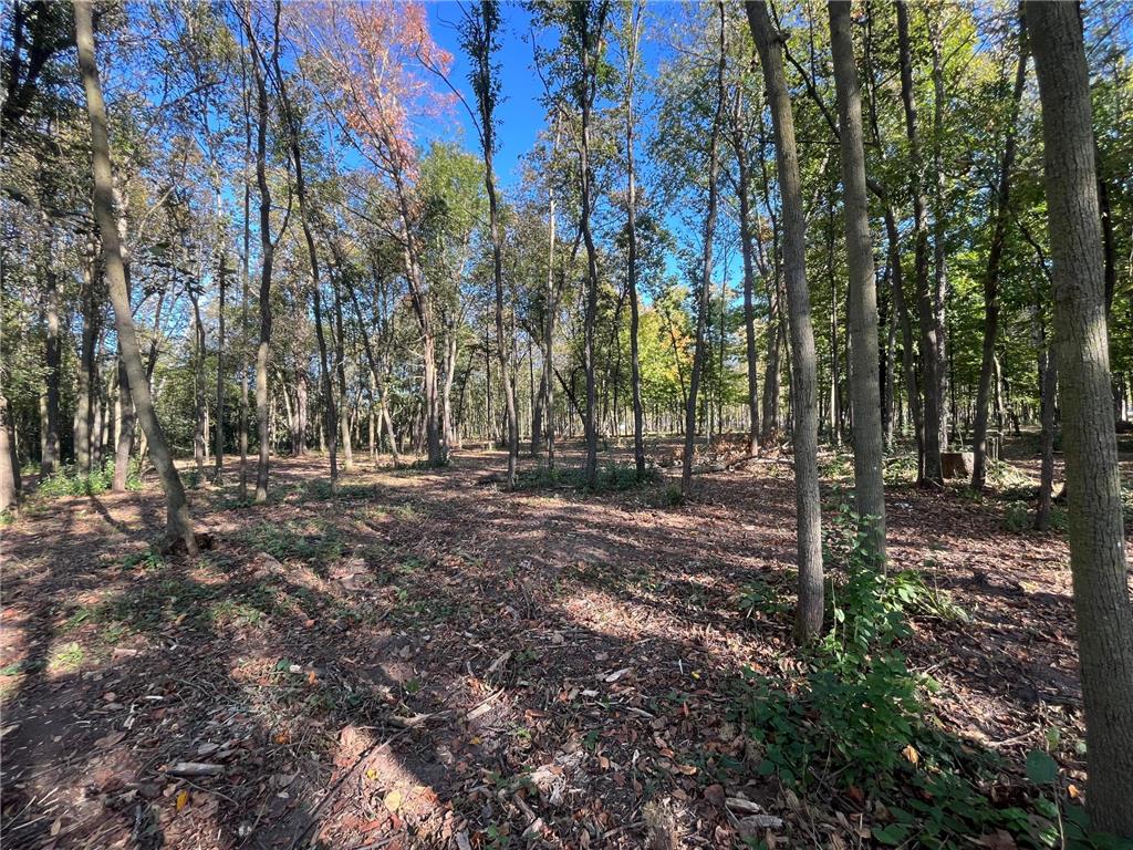 917 Scharbillig Court Rice Lake WI 54868 7055674 image11