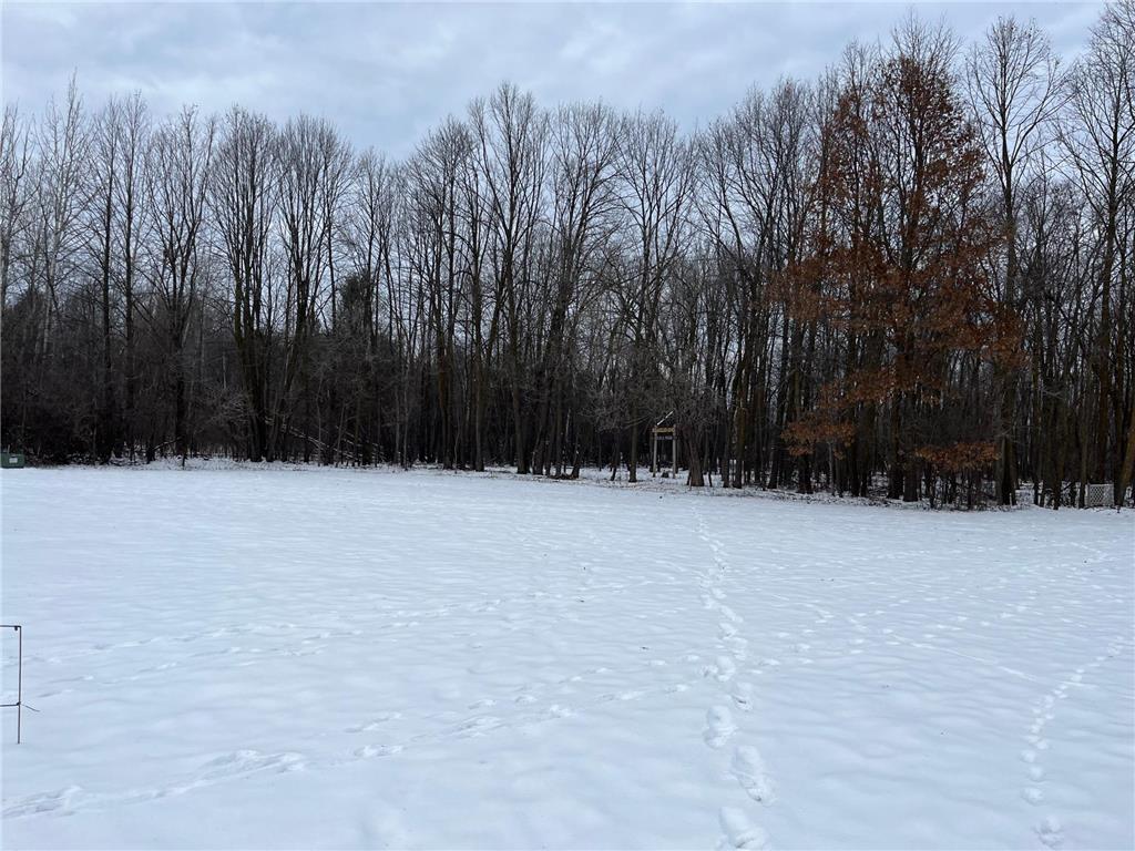 917 Scharbillig Court Rice Lake WI 54868 7055674 image3