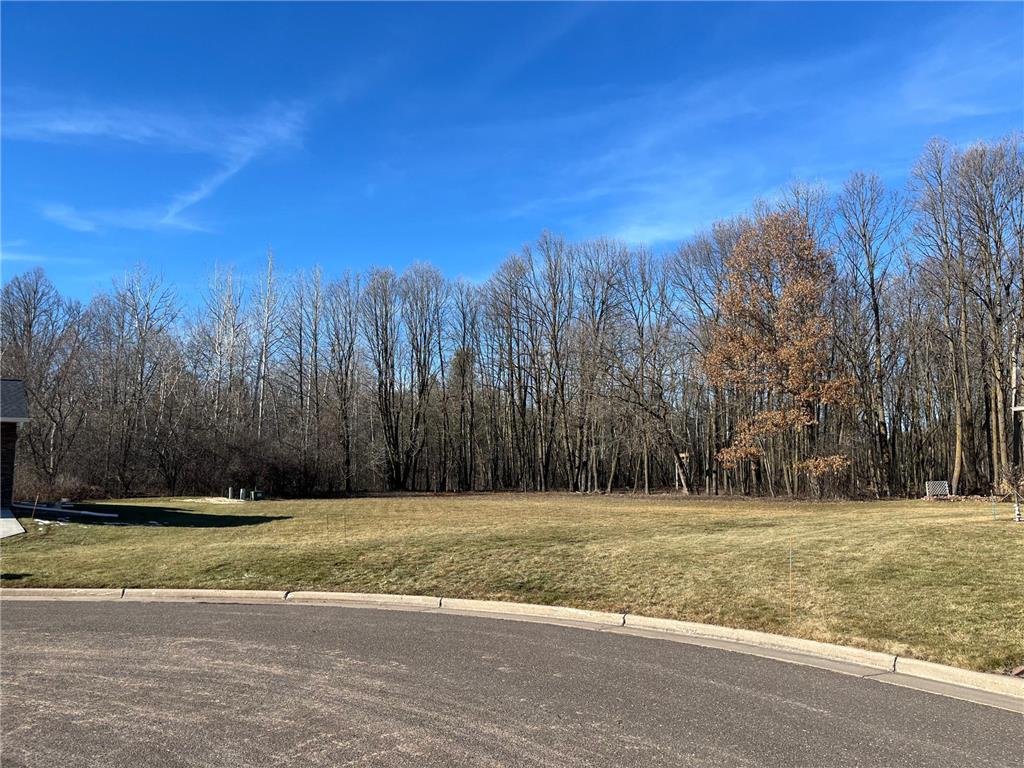 917 Scharbillig Court Rice Lake WI 54868 7055674 image5