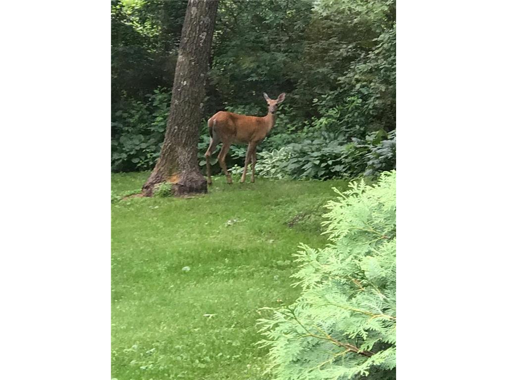 9175 Lakewood Shore Road NW Rice MN 56367 6805796 image23