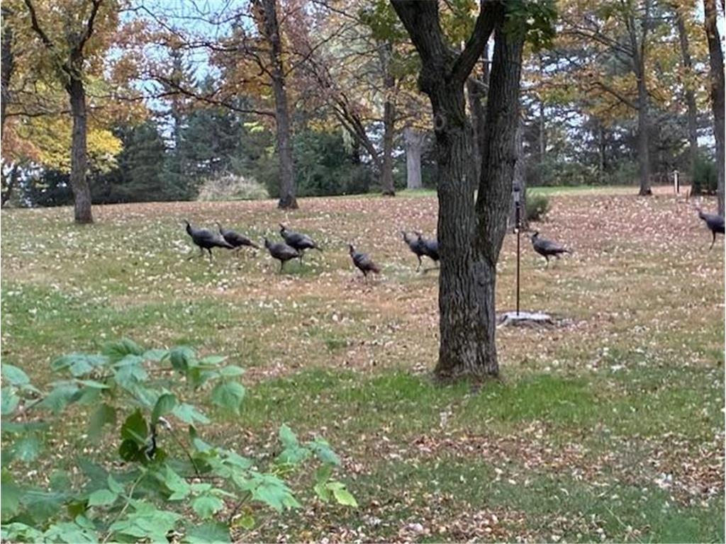 9175 Lakewood Shore Road NW Rice MN 56367 6805796 image24