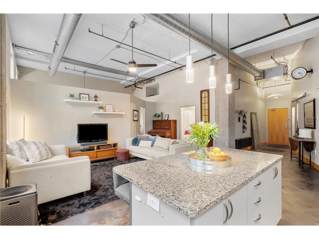 918 3rd Street N #105 Minneapolis MN 55401 7070480 image4