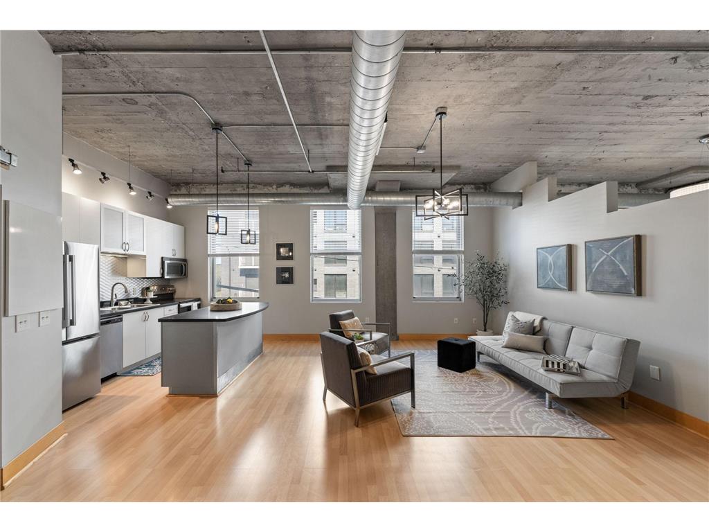 918 3rd Street N #207 Minneapolis MN 55401 7063076 image1