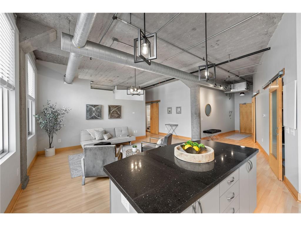 918 3rd Street N #207 Minneapolis MN 55401 7063076 image7