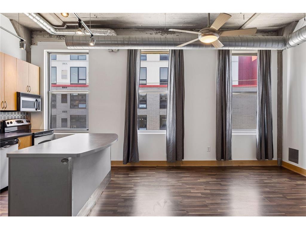 918 3rd Street N #309 Minneapolis MN 55401 7057516 image10